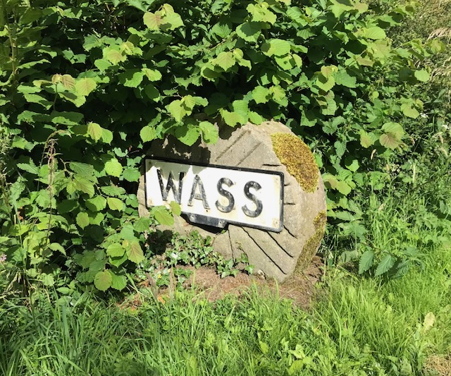 Wass 1.jpg